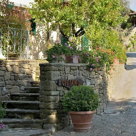Giusi E Dario Montanare