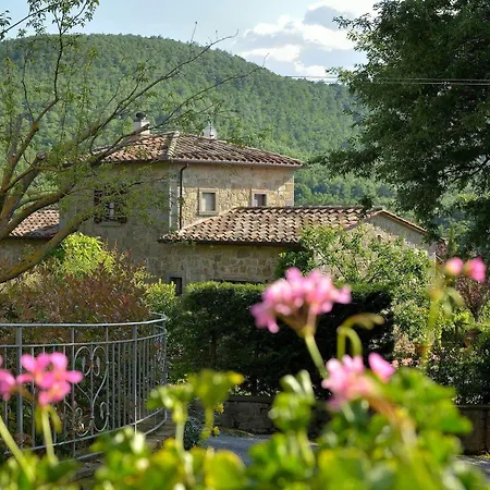 Giusi E Dario *
